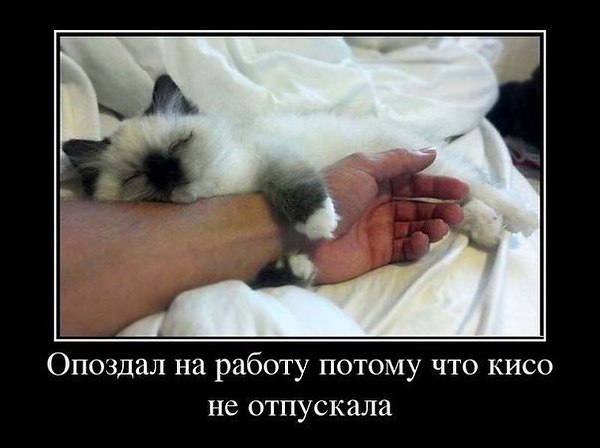 VFL.RU -  