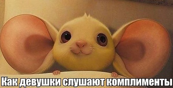 VFL.RU -  