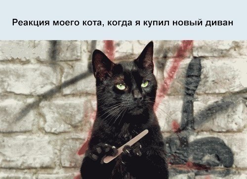 VFL.RU -  