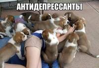 VFL.RU - ваш фотохостинг