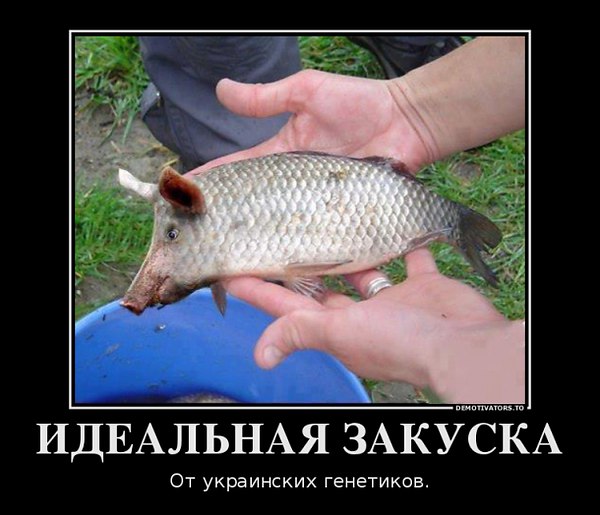 VFL.RU -  
