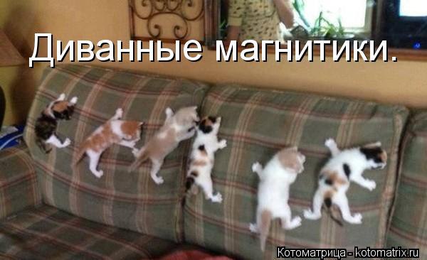 VFL.RU -  