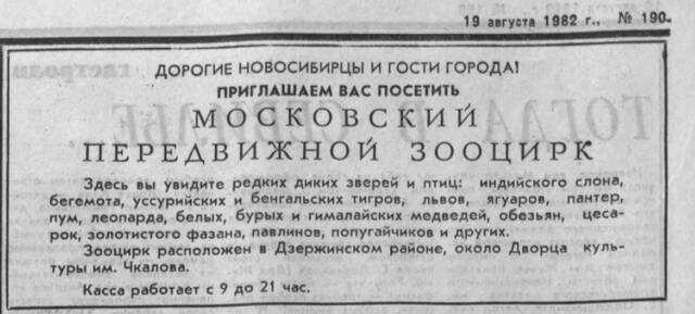 https://images.vfl.ru/ii/1744899319/160a3f28/39790325_m.jpg