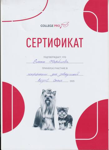 пп