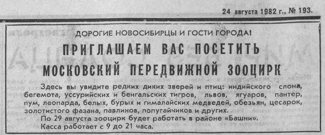 https://images.vfl.ru/ii/1745255070/54a77960/39794484_m.jpg