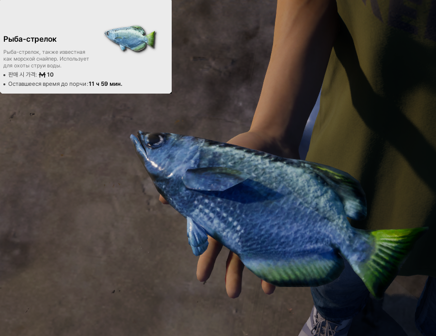 39798107.png