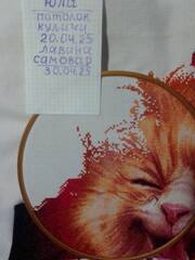 https://images.vfl.ru/ii/1746023891/a9ecb254/39803173_m.jpg
