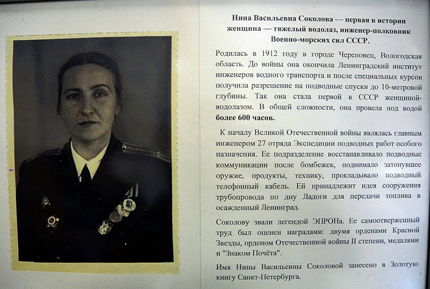 26   -     -  