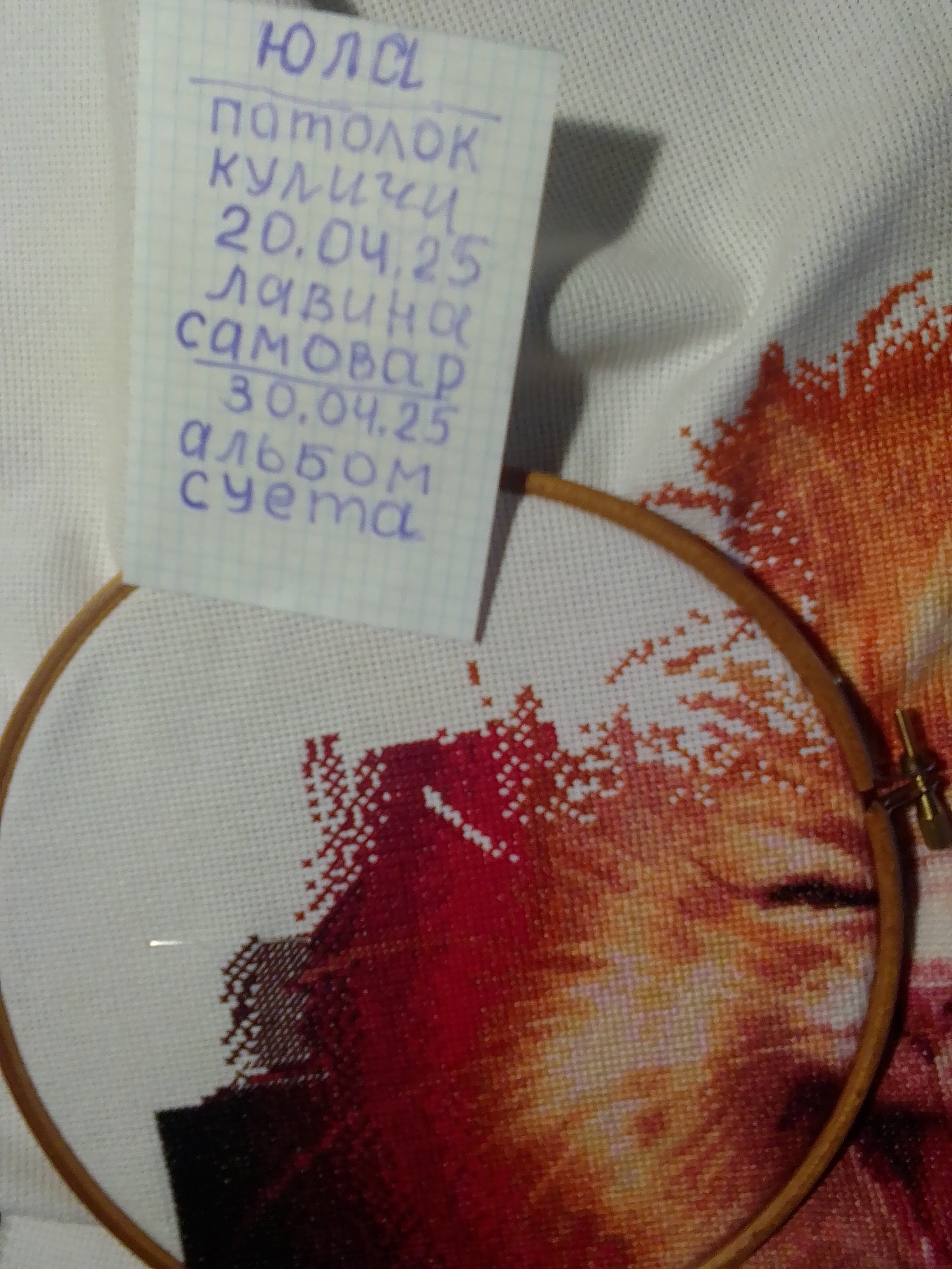 рыжик суета1