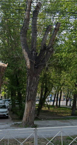 https://images.vfl.ru/ii/1747758938/987ad615/39826751_m.jpg