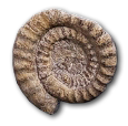 39836202.png