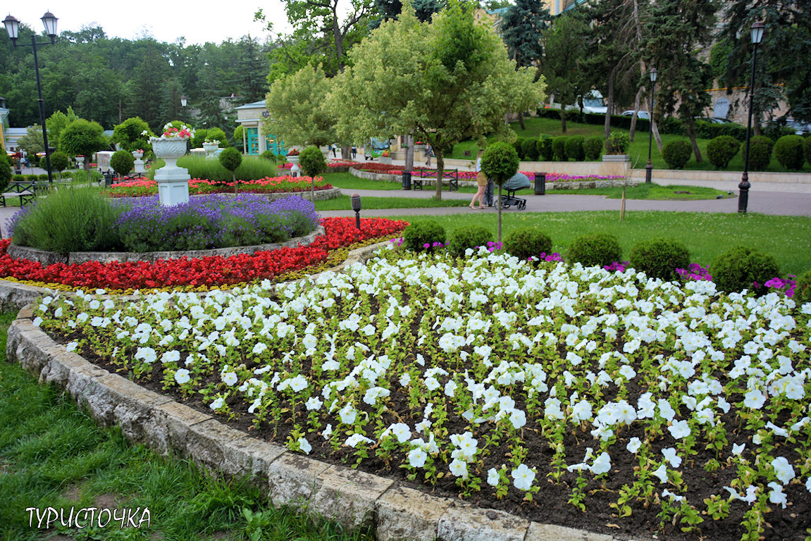 Цветник Пятигорск