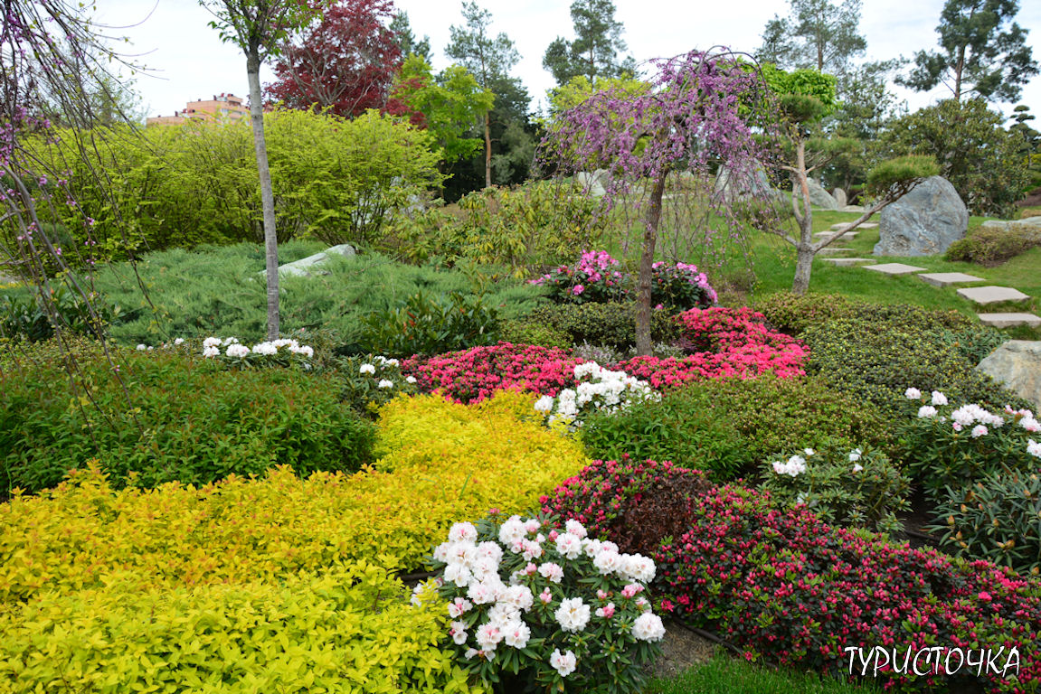 Японский сад Краснодар