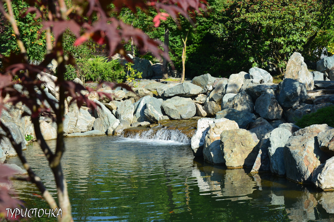 Японский сад Краснодар