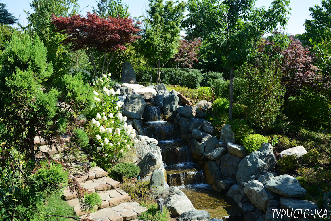 Японский сад Краснодар