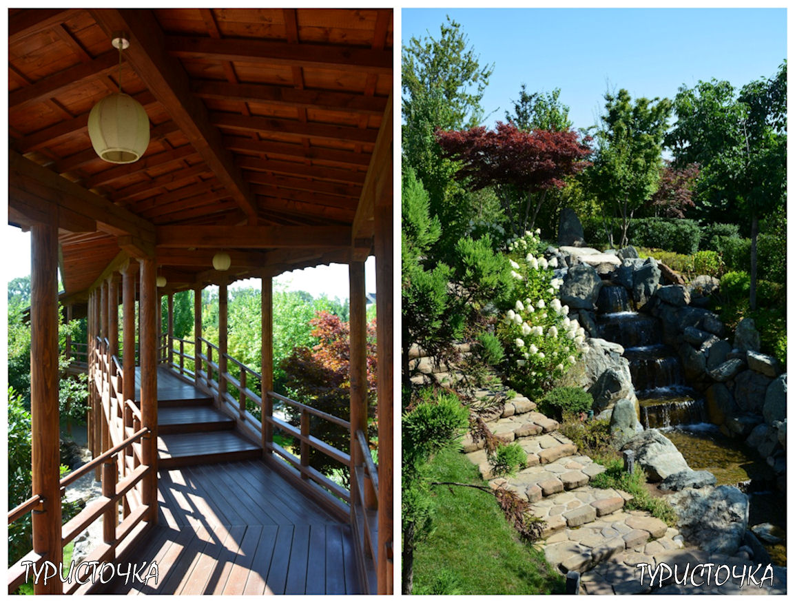 Японский сад Краснодар