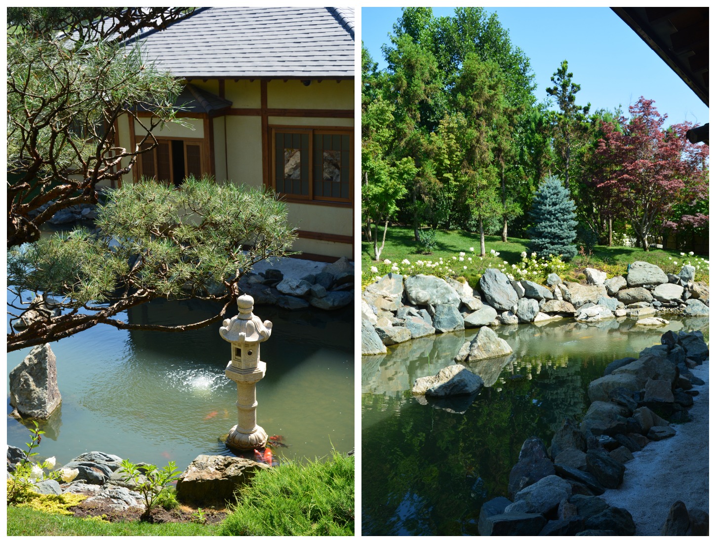 Японский сад Краснодар