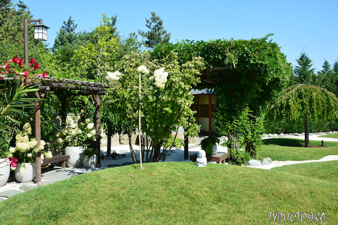 Японский сад Краснодар