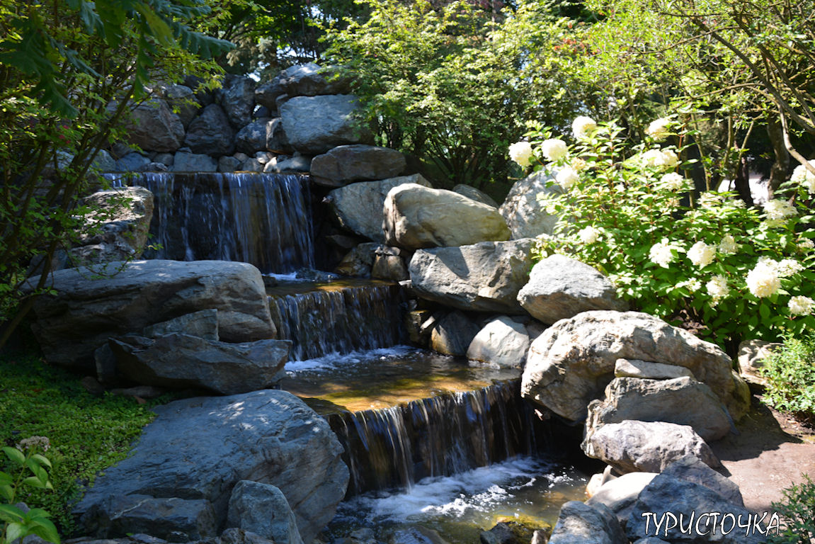 Японский сад Краснодар