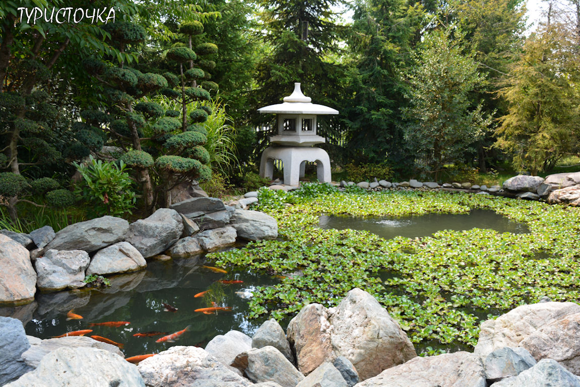 Японский сад Краснодар