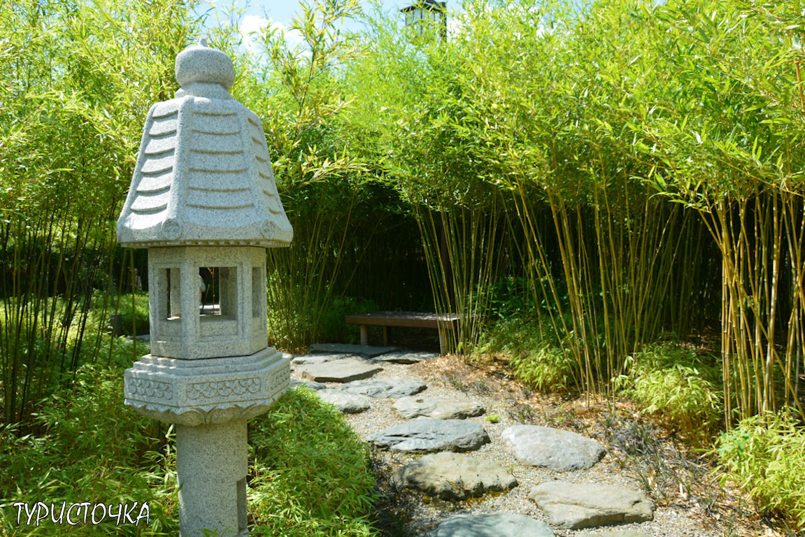 Японский сад Краснодар