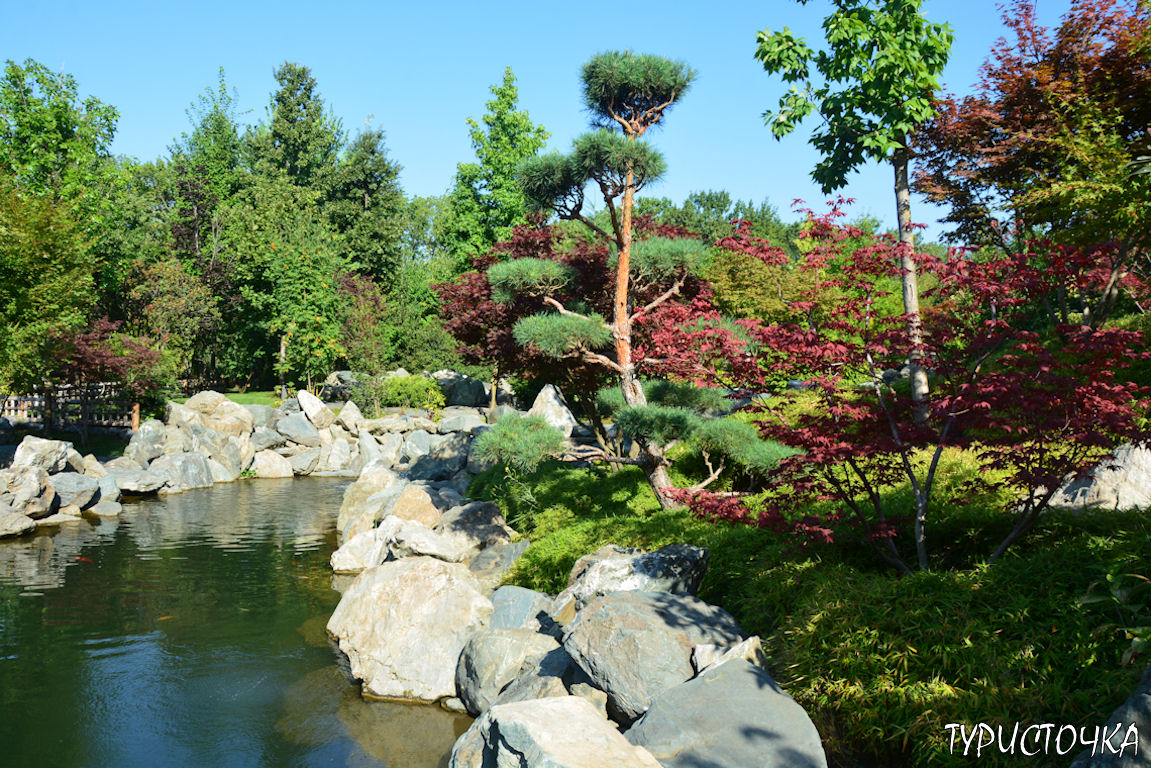 Японский сад Краснодар