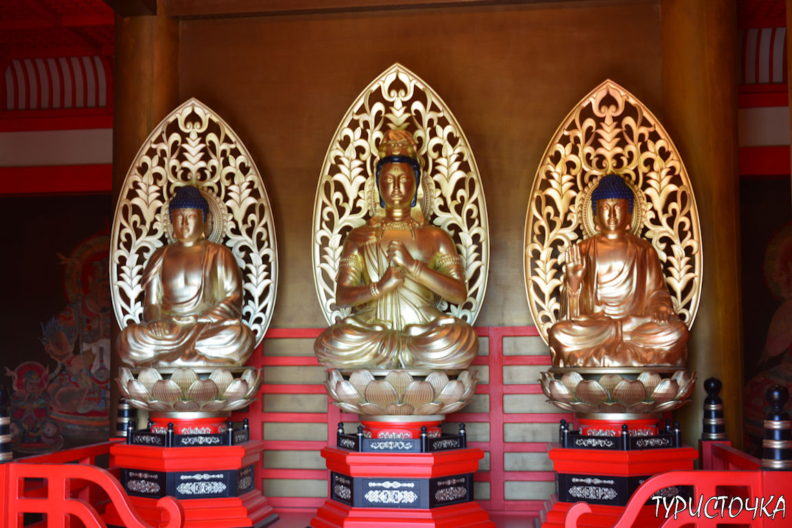 Японский сад Краснодар