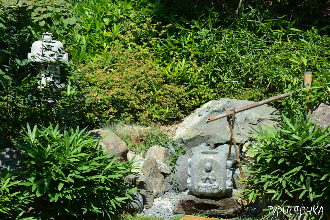 Японский сад Краснодар