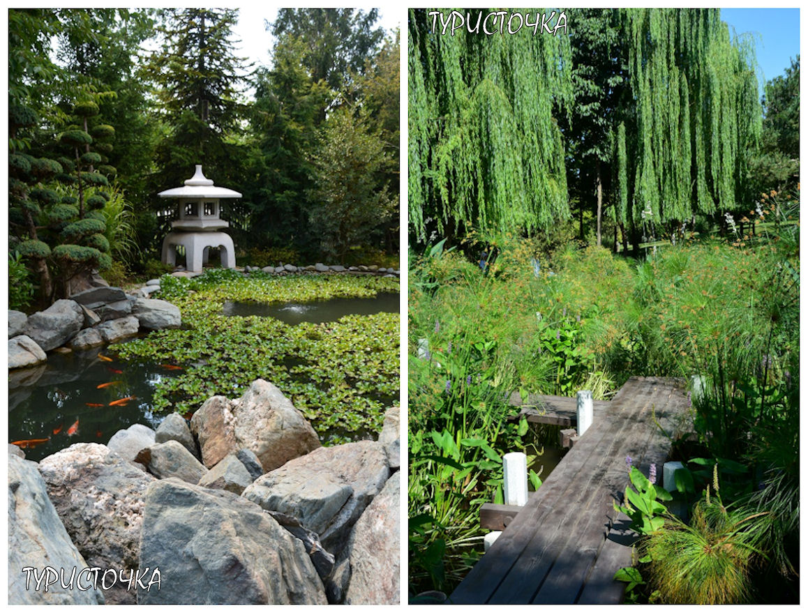 Японский сад Краснодар