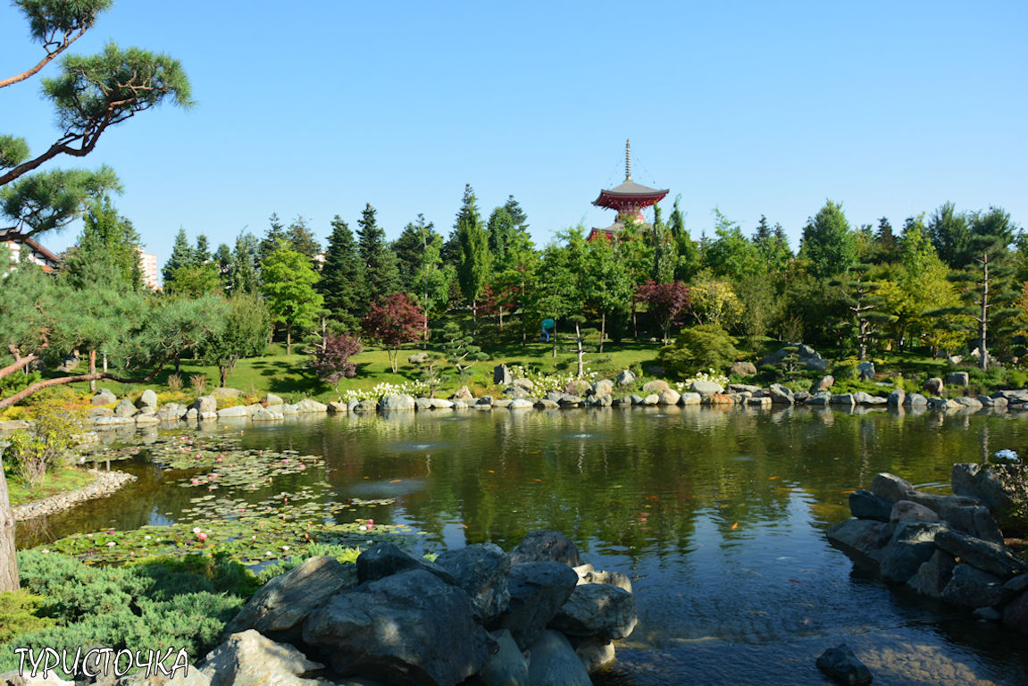 Японский сад Краснодар