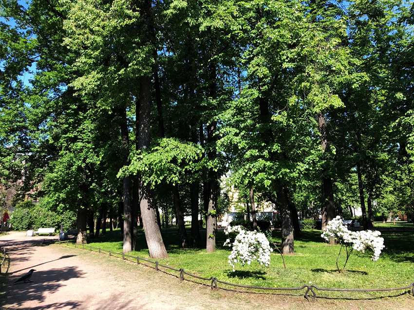 VFL.RU - ��� �����������