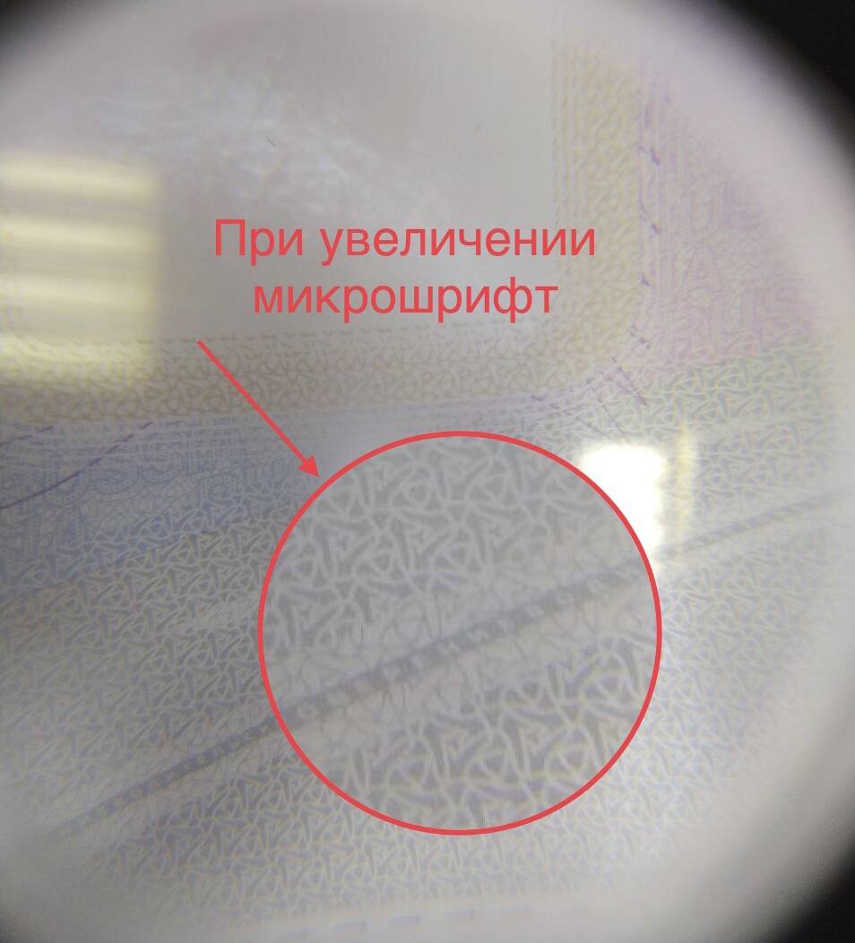 39958115.jpg