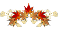 VFL.RU -  