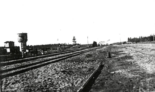 https://images.vfl.ru/ii/1758101379/0acaaf36/39967444_m.jpg