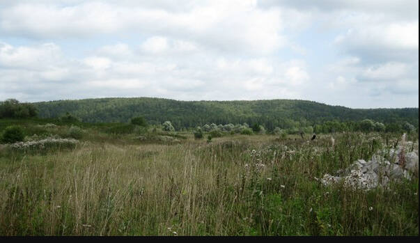 https://images.vfl.ru/ii/1758388863/d3f2ee3e/39970618_m.jpg