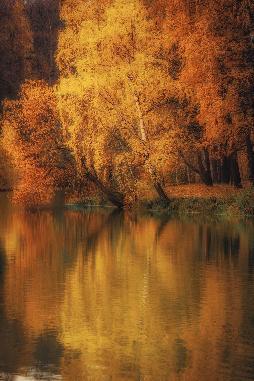 VFL.RU -  