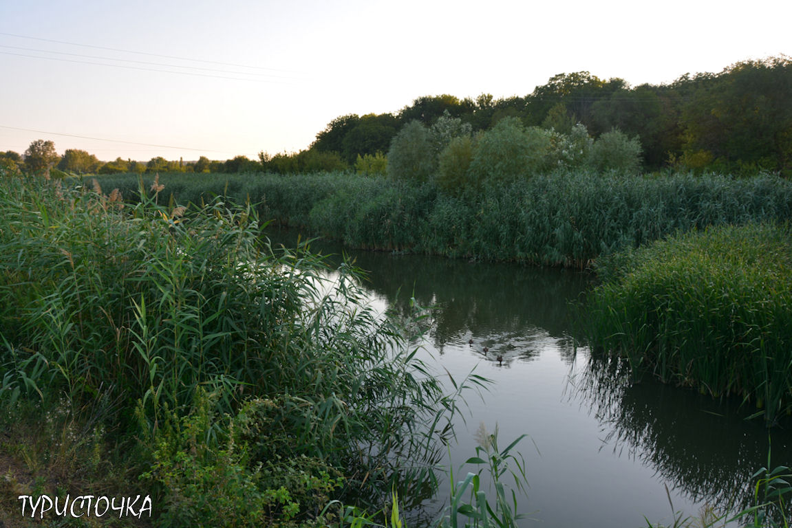 Парк Первая Миля
