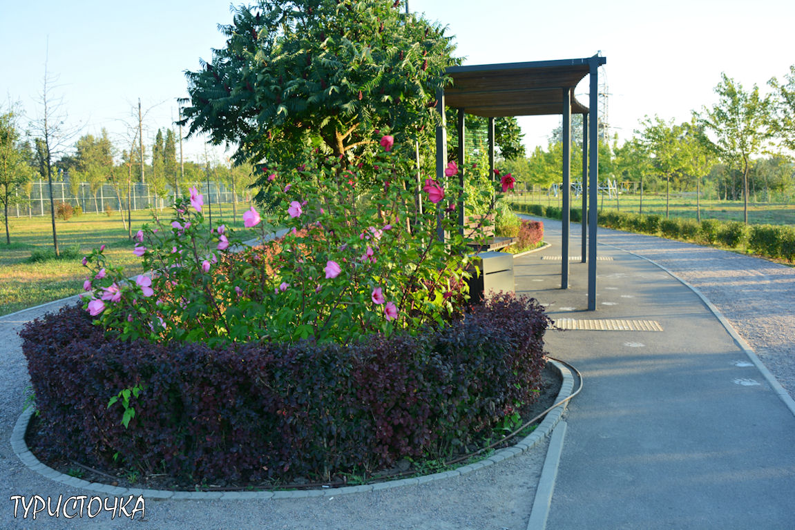 Парк Первая Миля