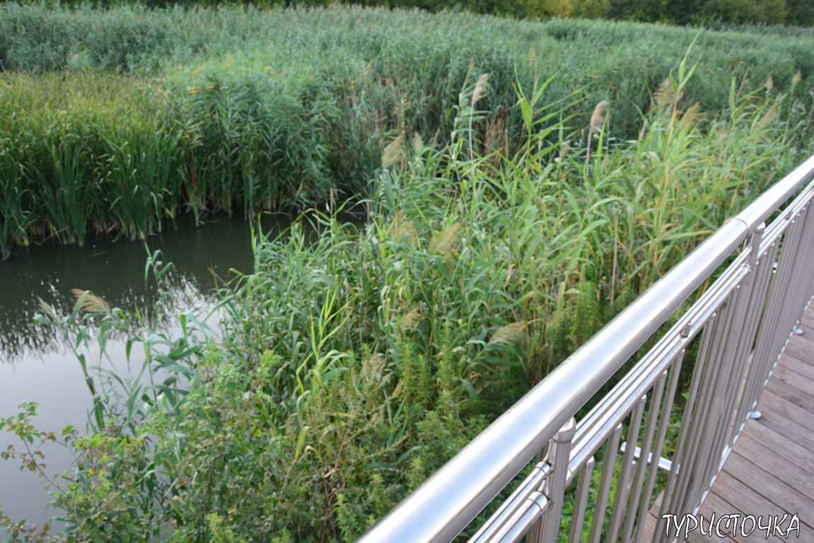 Парк Первая Миля