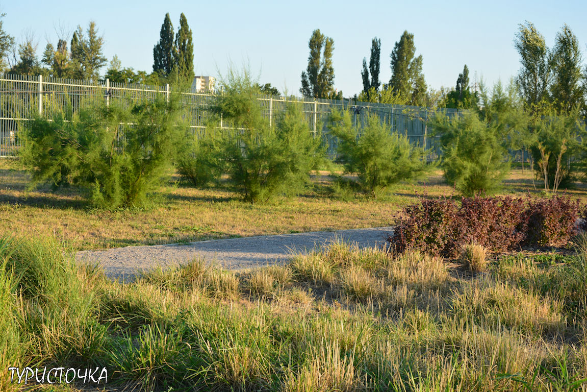 Парк Первая Миля