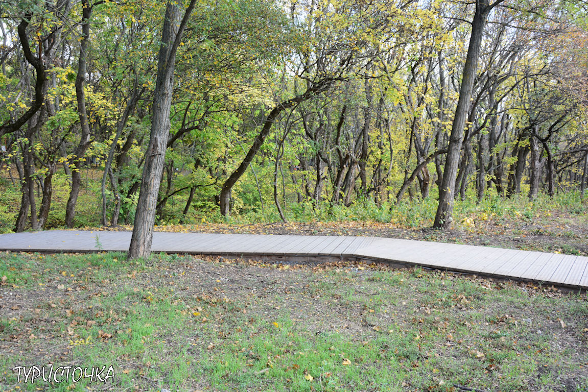 Мухина балка