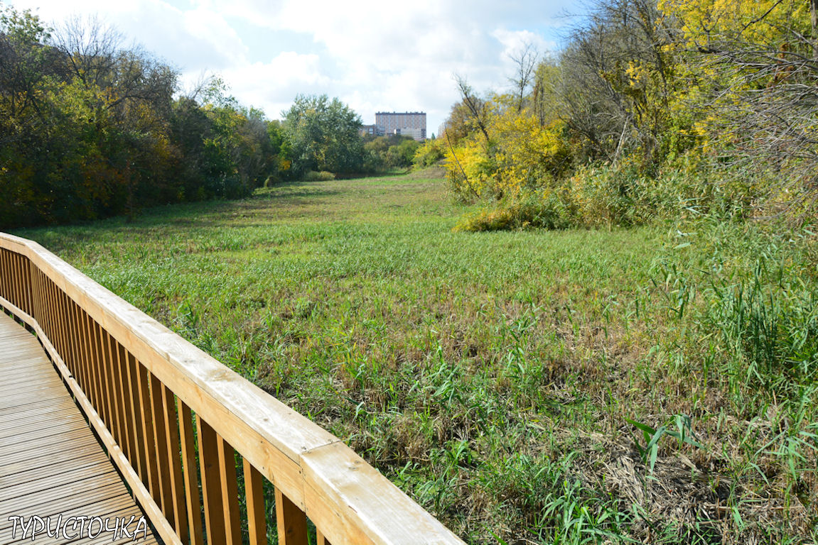 Мухина балка