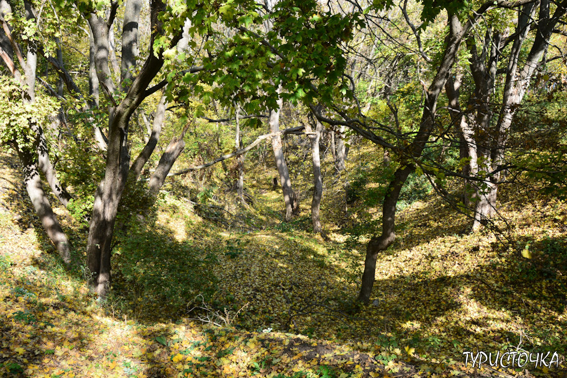 muhina-balka-2025-10