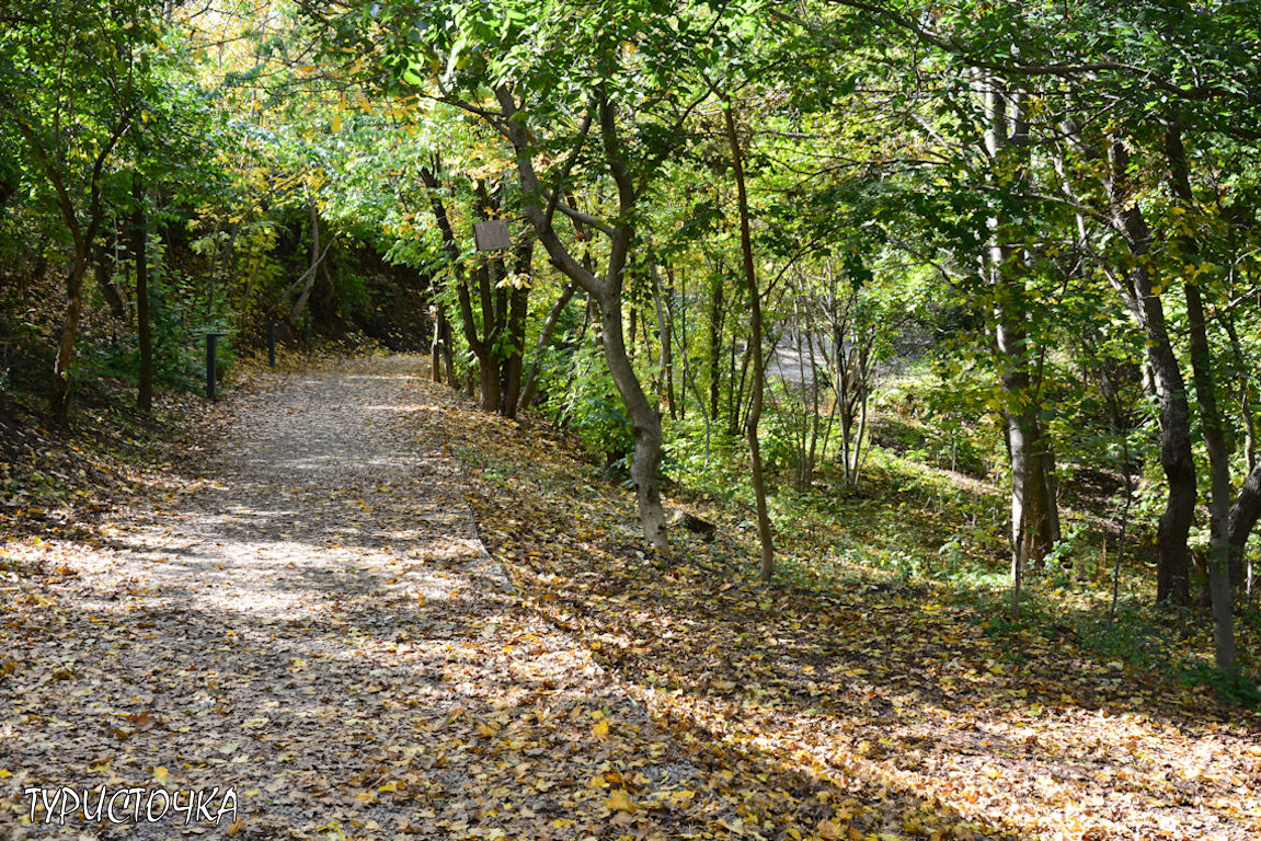 muhina-balka-2025-11