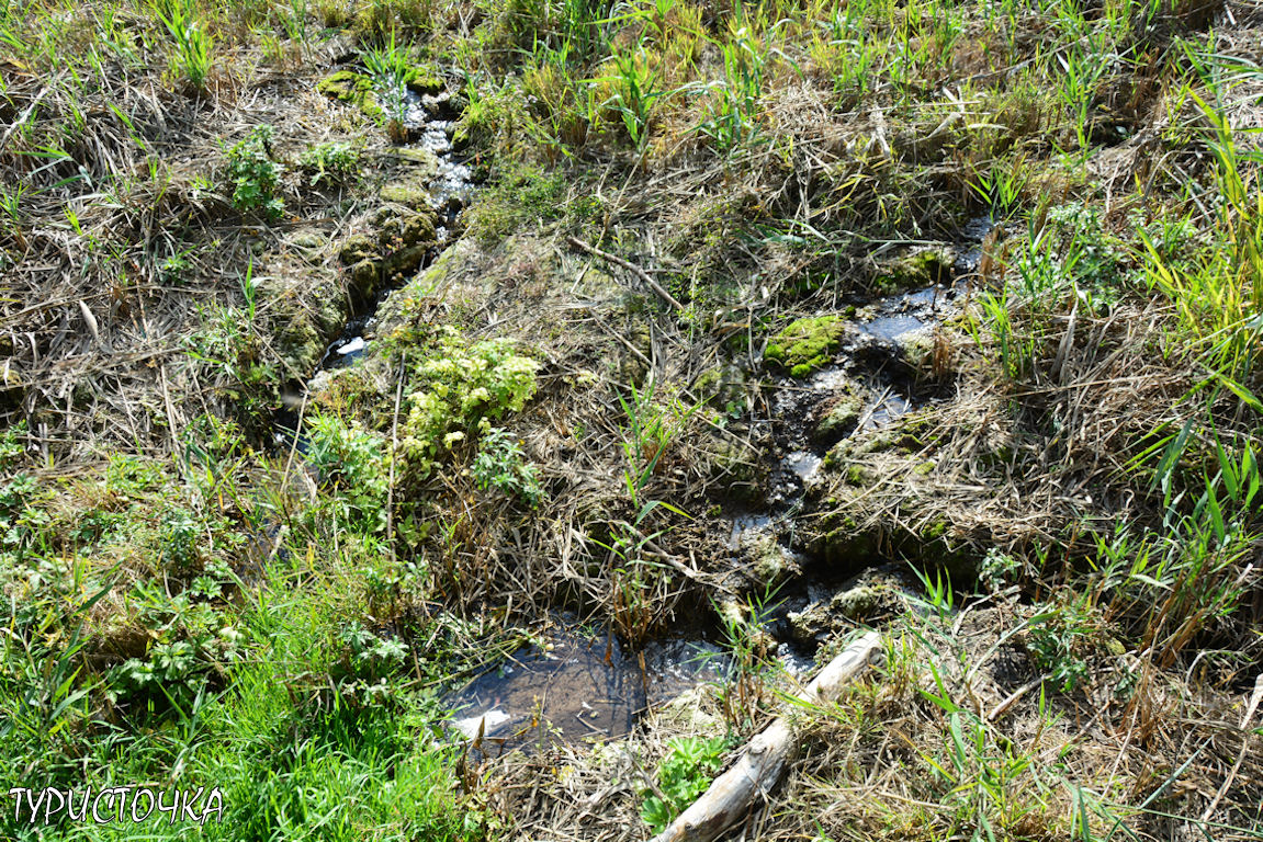 muhina-balka-2025-15