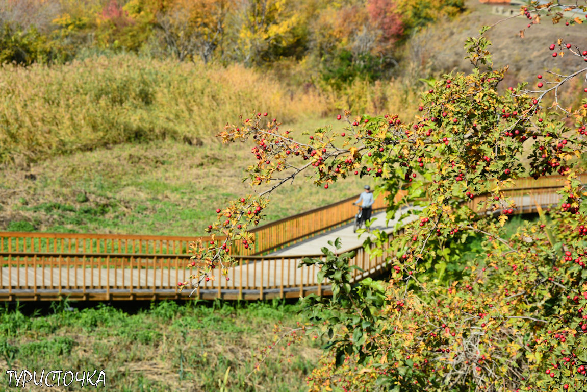 muhina-balka-2025-17