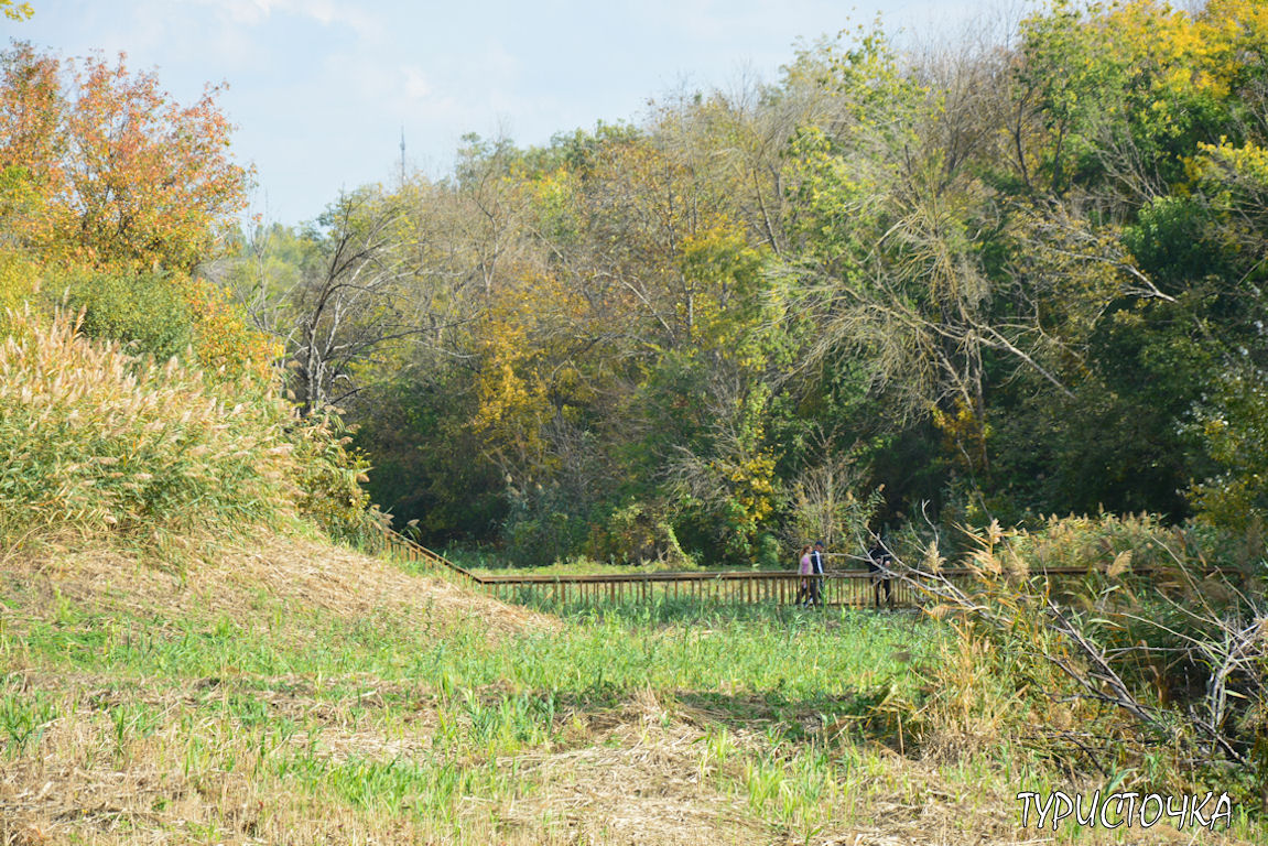 muhina-balka-2025-22