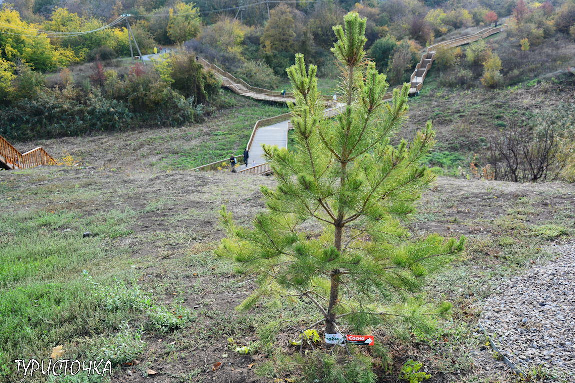 muhina-balka-2025-26