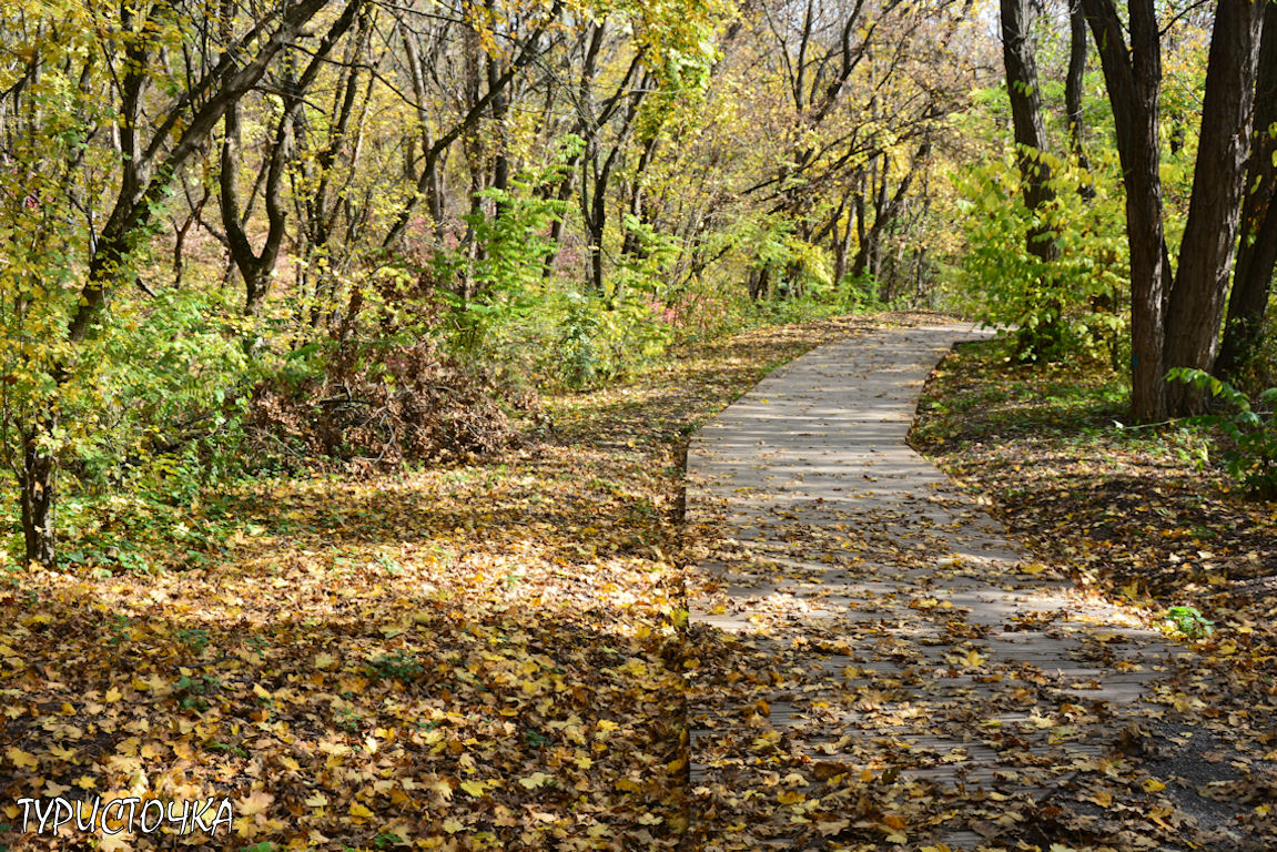 muhina-balka-2025-33