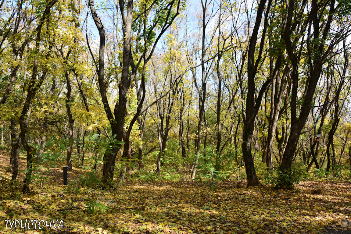 muhina-balka-2025-35